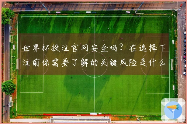世界杯投注官网安全吗？在选择下注前你需要了解的关键风险是什么