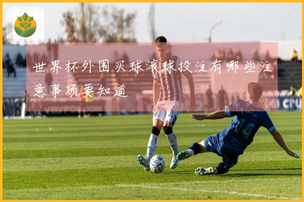 世界杯外围买球滚球投注有哪些注意事项要知道