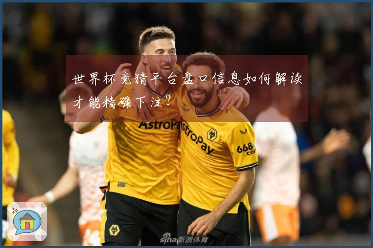 世界杯竞猜平台盘口信息如何解读才能精确下注？